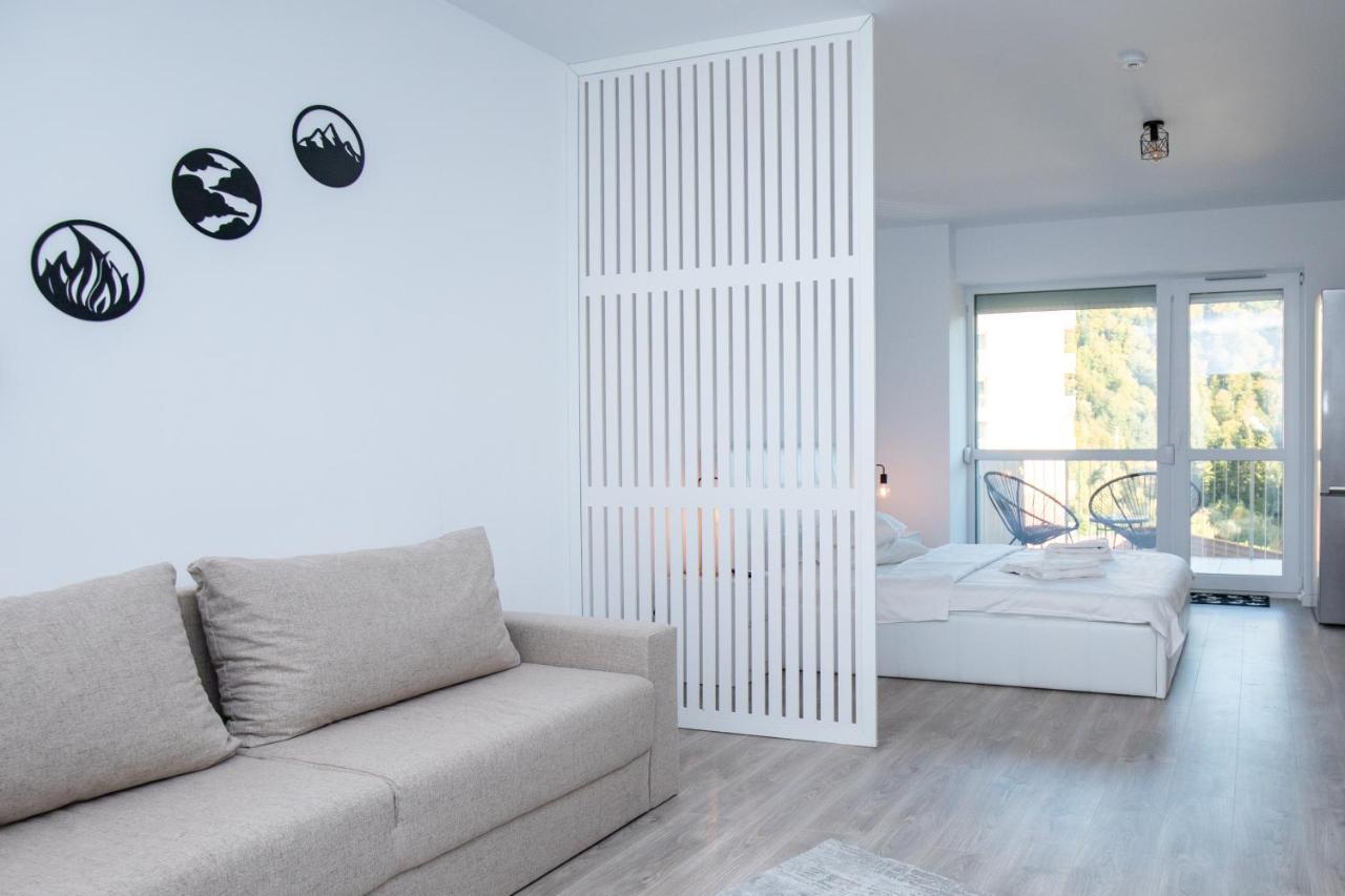 Cozy Studio 4 People With Parking Sinaia Dış mekan fotoğraf