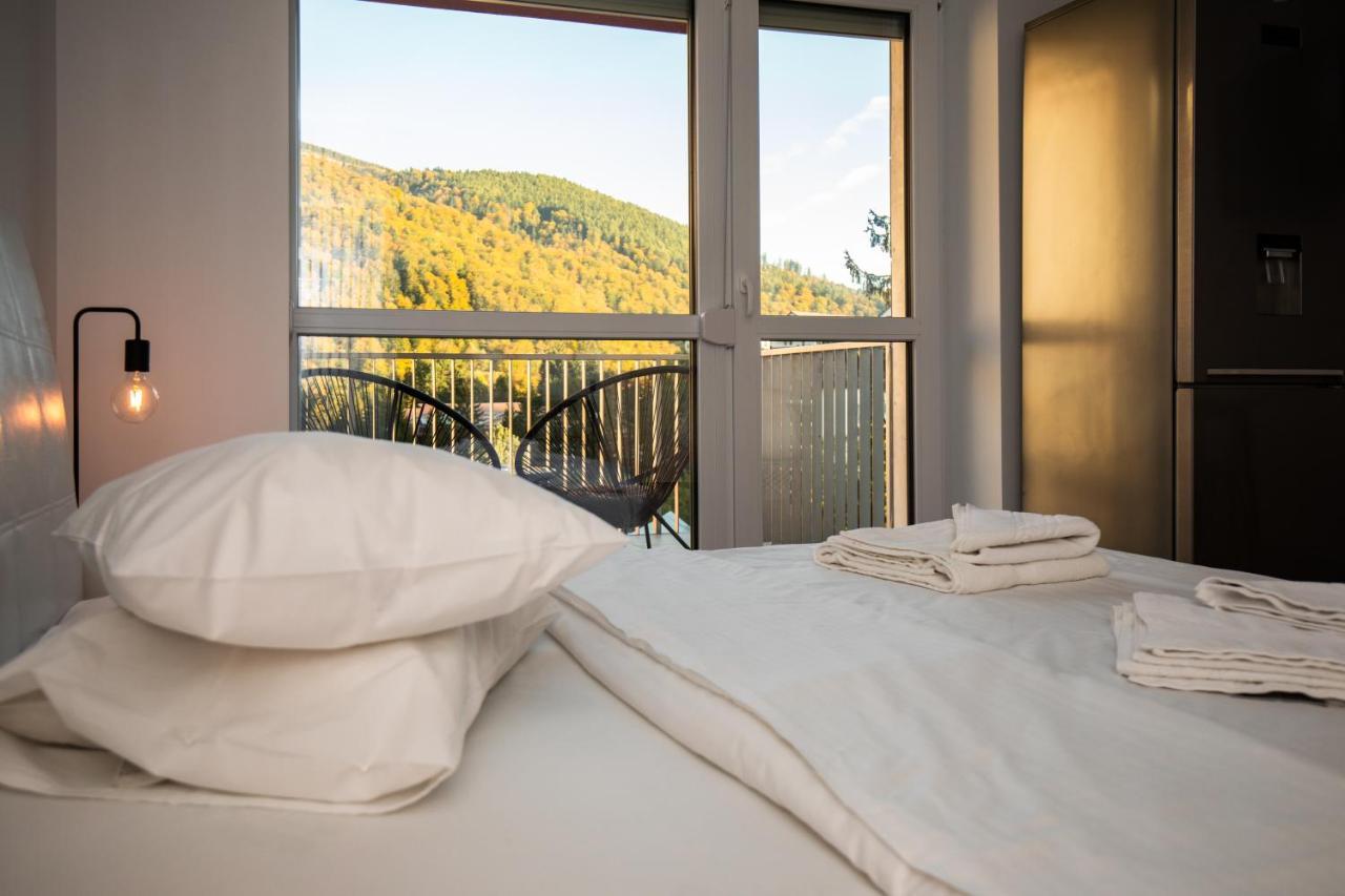 Cozy Studio 4 People With Parking Sinaia Dış mekan fotoğraf