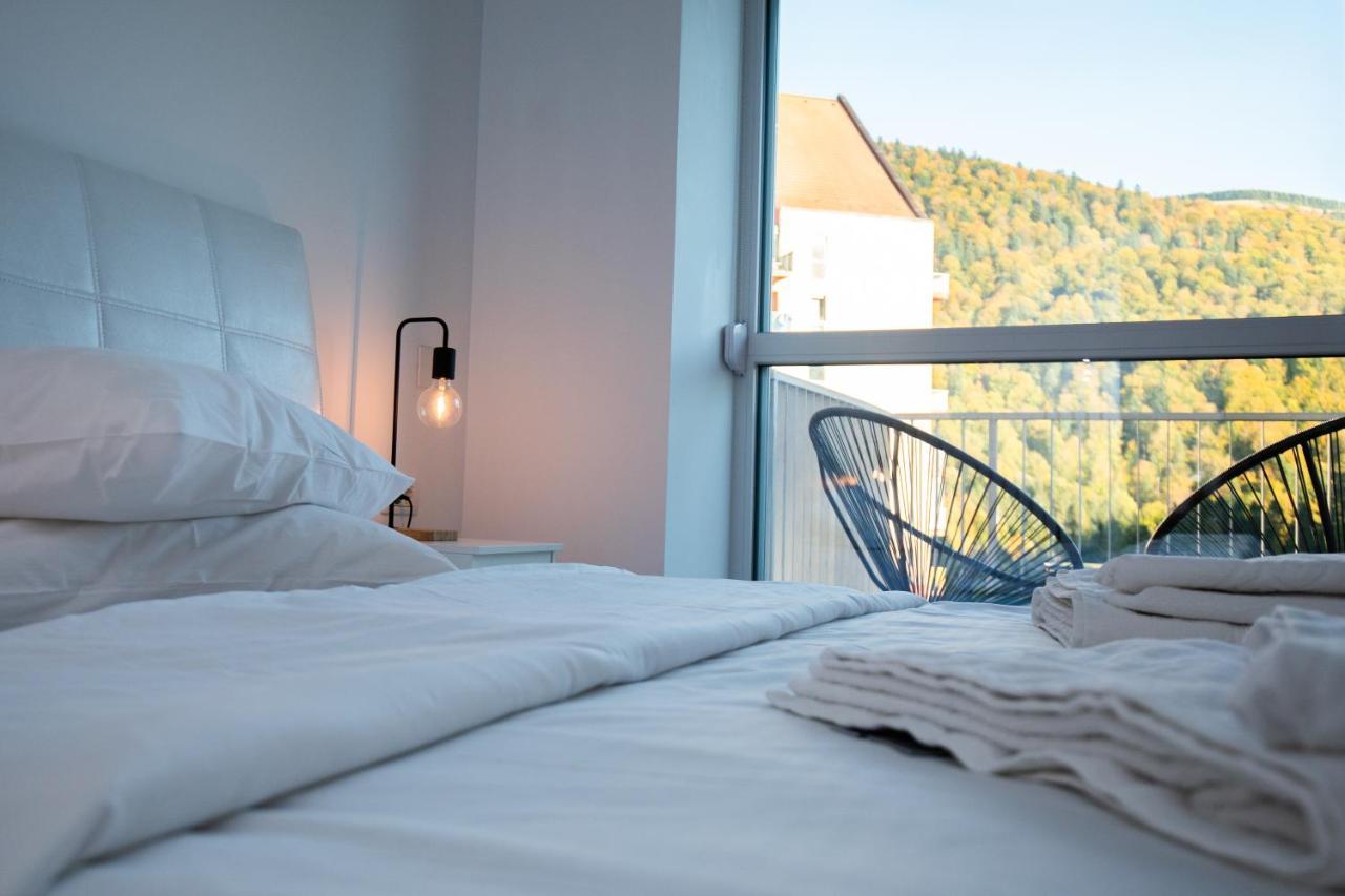 Cozy Studio 4 People With Parking Sinaia Dış mekan fotoğraf