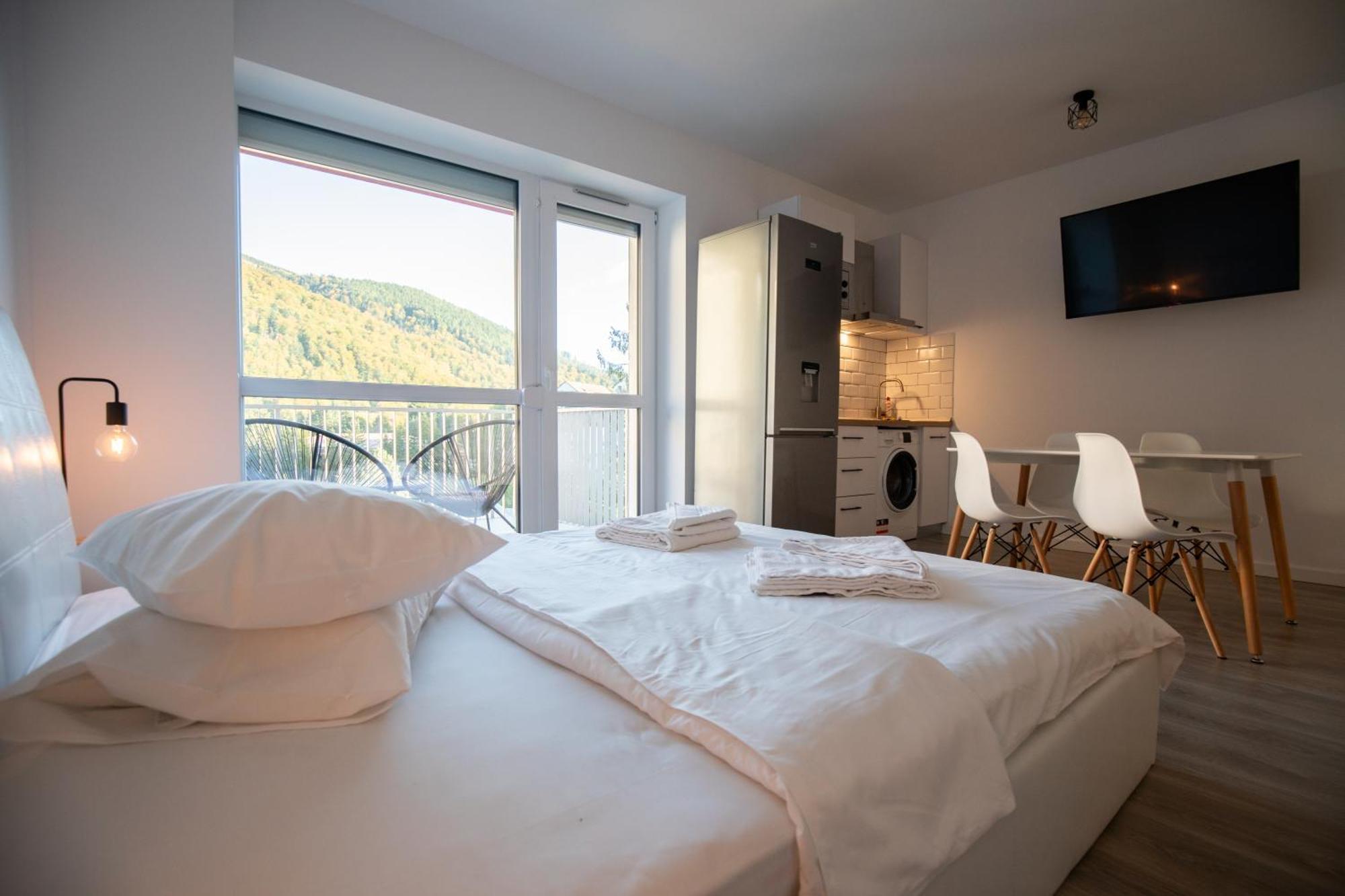 Cozy Studio 4 People With Parking Sinaia Dış mekan fotoğraf